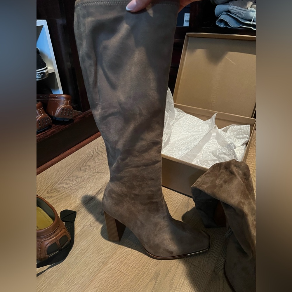 Fedora Taupe Suede Boot - Steve Madden